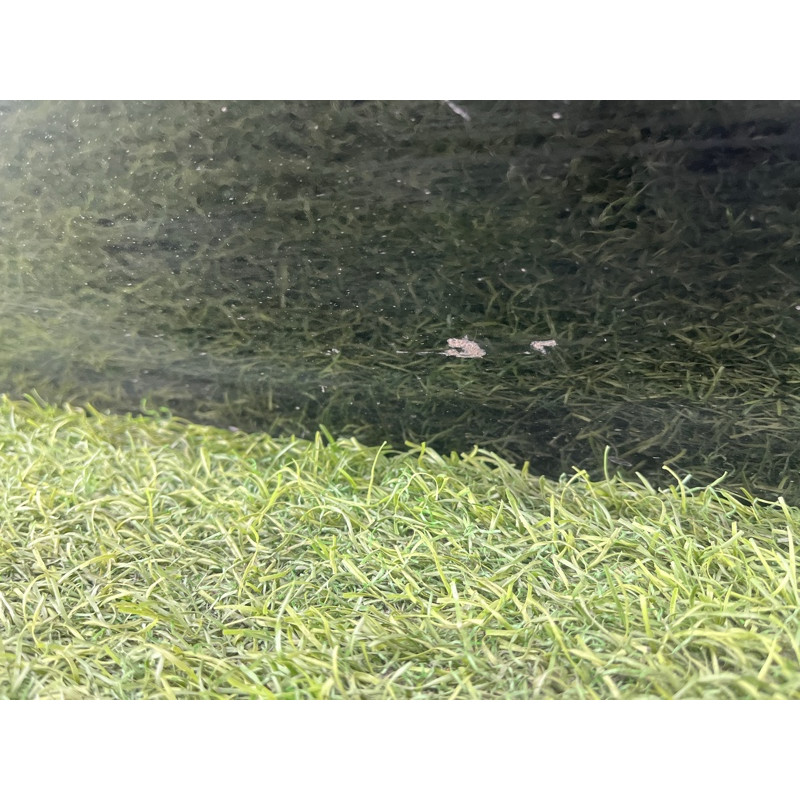 Дверь голая (наружные элементы кузова) Toyota Highlander XU20 6700448070