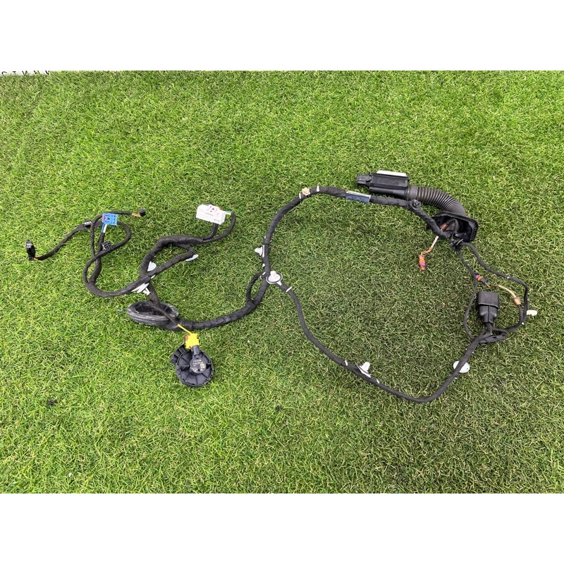 Проводка дверная (электрика) AUDI A5 F5 2020 2.0 CYMC 8W8971029AE