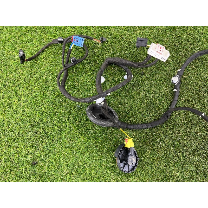 Проводка дверная (электрика) AUDI A5 F5 2020 2.0 CYMC 8W8971029AE