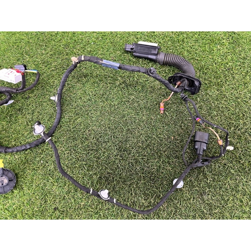 Проводка дверная (электрика) AUDI A5 F5 2020 2.0 CYMC 8W8971029AE