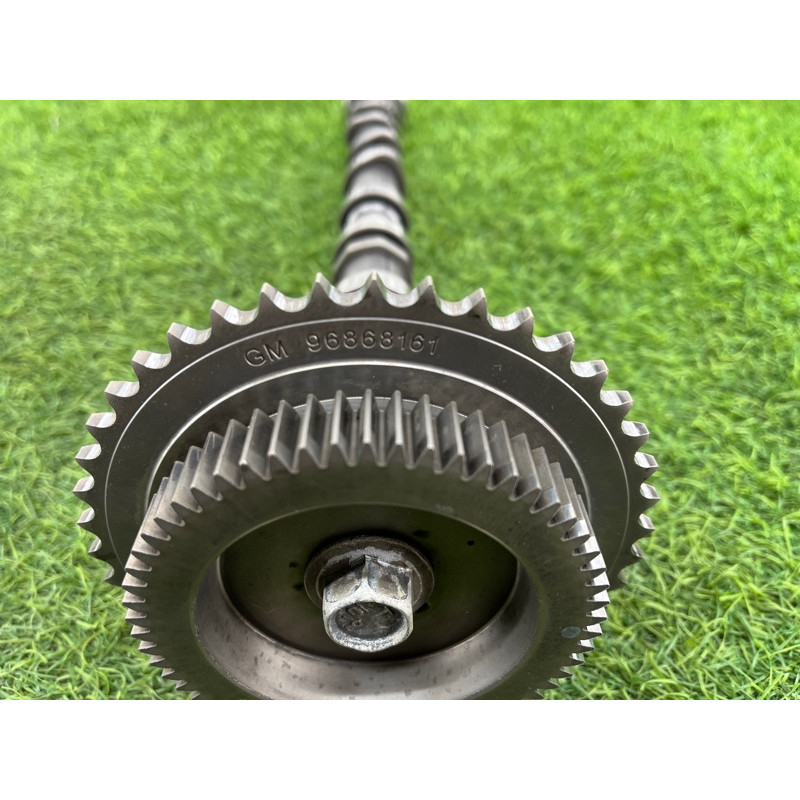 Распредвал впускной (двигатель и элементы) Chevrolet Captiva C140 2011 2.2 D (z22d1) 25187945