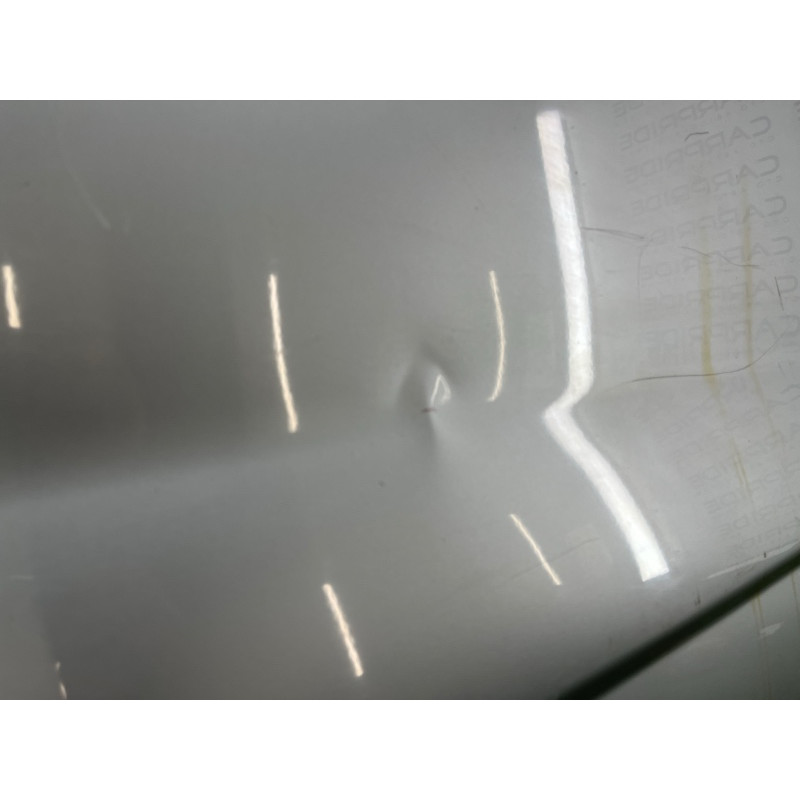 Дверь голая (наружные элементы кузова) Opel Vivaro 1 2007 1.9 D 7751472219