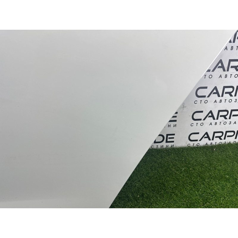 Дверь (наружные элементы кузова) BMW 7-series F01 2011 3.0 N54 41525A2A391