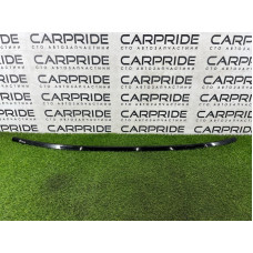 Молдинг на дах