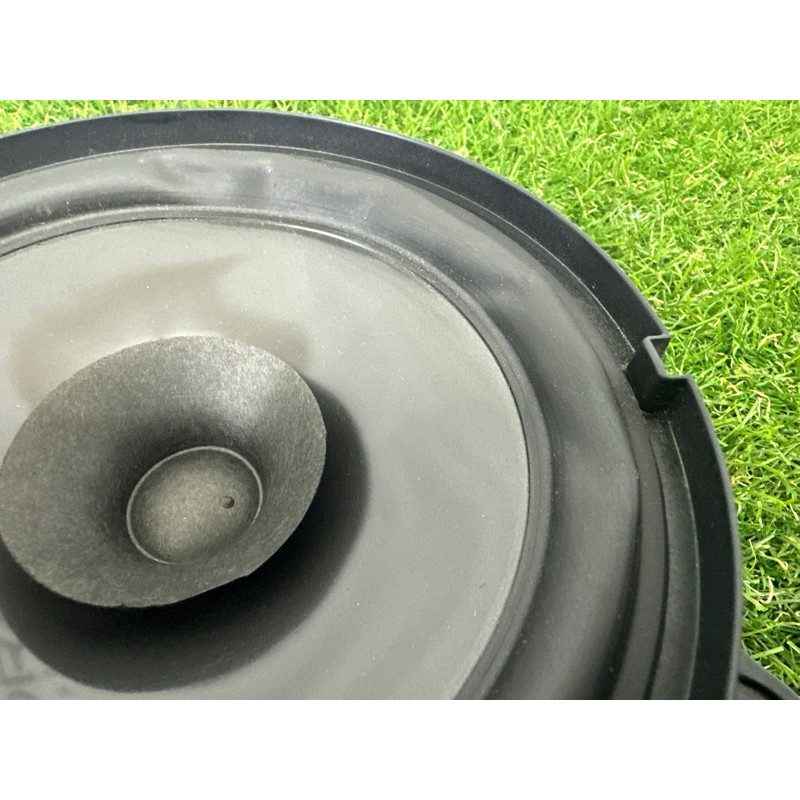 Динамик (электрика) Nissan Rogue T33 2021 2.5 PR25DD 281566RR0A