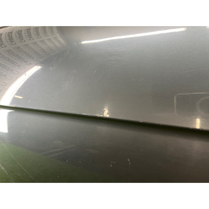 Дверь голая (наружные элементы кузова) BMW 7-series E65 N62B44 41517202081