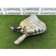 Глушитель (выпускная система) AUDI Q5 8R 2012 2.0 CAEB 8R0253609AF