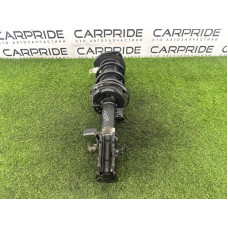 Амортизатор в сборе