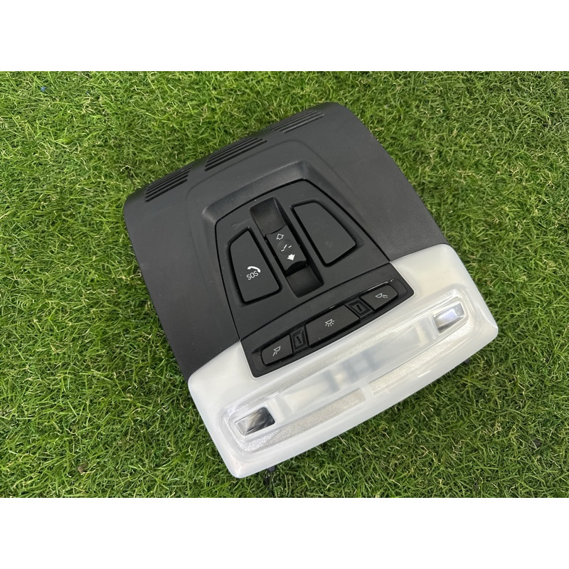 Плафон салона (салон) BMW X1 F48 2016 2.0 B46B20 61316999354