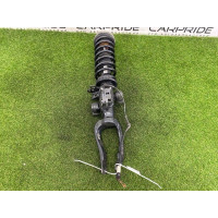 Амортизатор в сборе