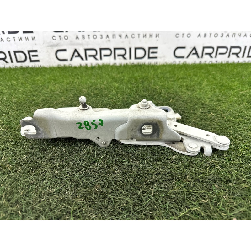 Петля капота (кузов и элементы) BMW 7-series F01 2011 3.0 N54 41007204555