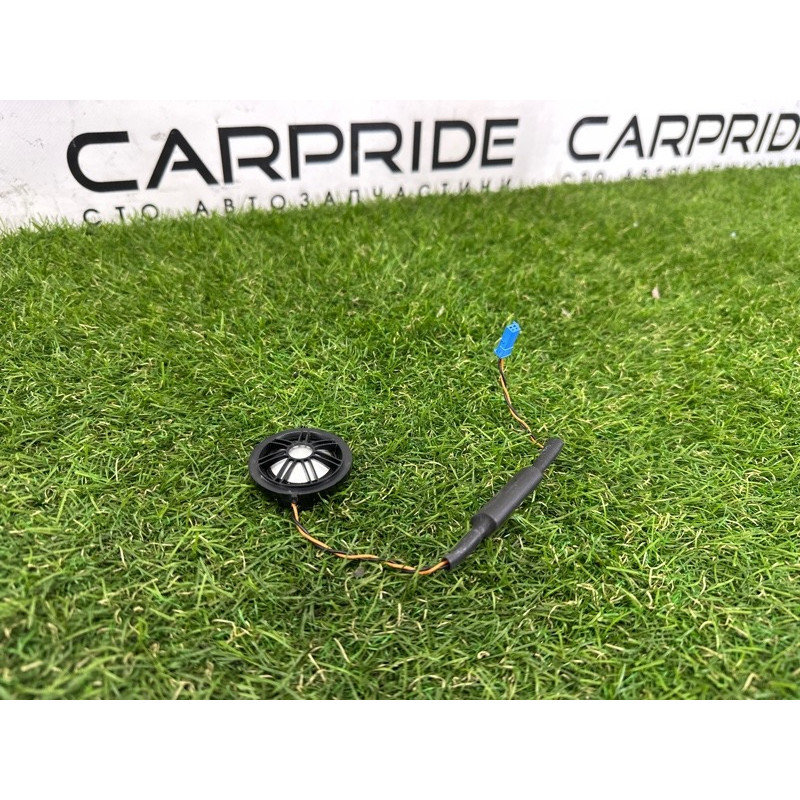 Динамик (электрика) BMW 7-series F01 2011 3.0 N54 65139277839