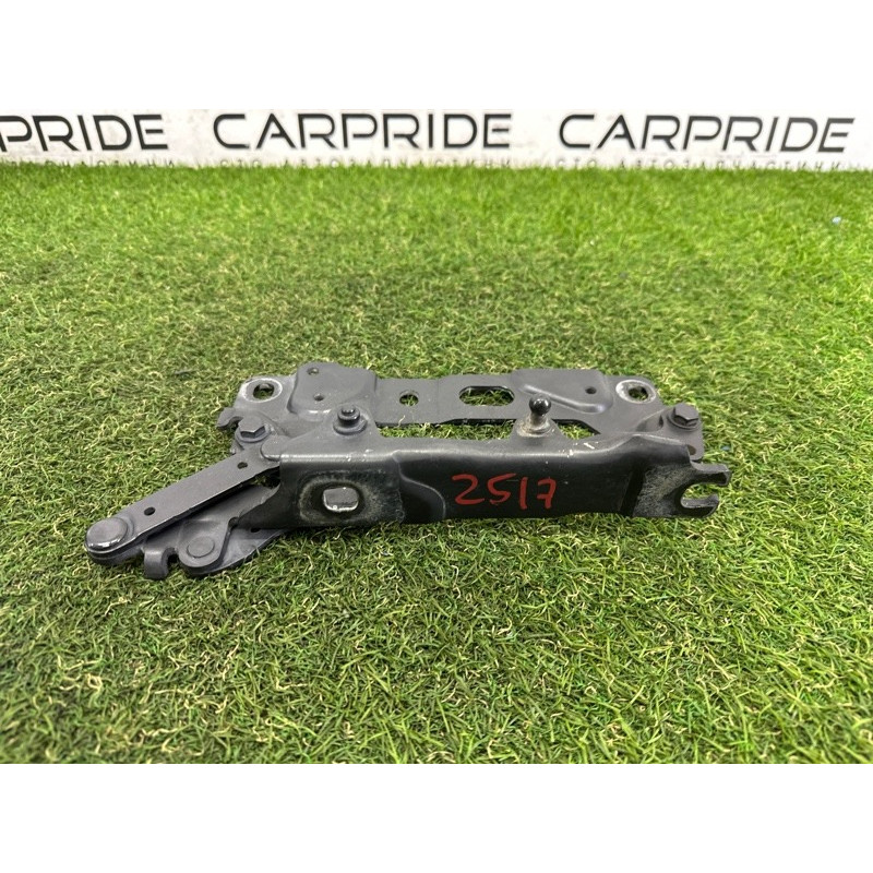 Петля капота (кузов и элементы) BMW 7-series F01 2011 3.0 N54 41007204556