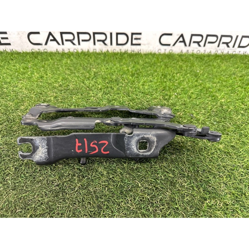 Петля капота (кузов и элементы) BMW 7-series F01 2011 3.0 N54 41007204556