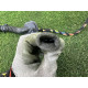 Проводка дверна (електрика) Volkswagen Touareg NF 2012 3.0 Hybrid CGFA 7P6971161F