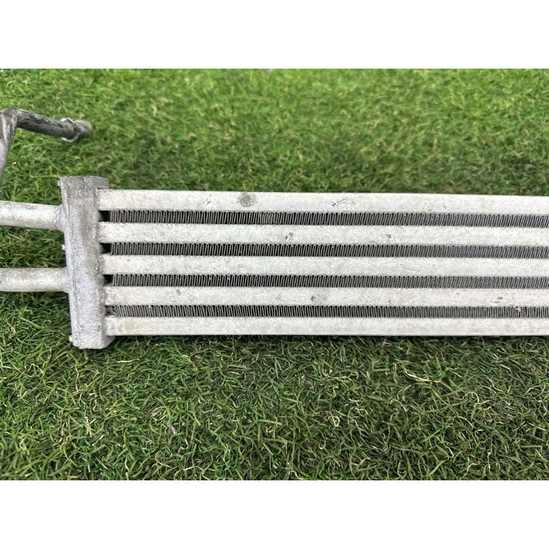 Радиатор гидроусилителя (система охлаждения) BMW 7-series F01 2011 3.0 N54 17117570100