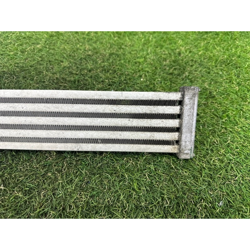 Радиатор гидроусилителя (система охлаждения) BMW 7-series F01 2011 3.0 N54 17117570100