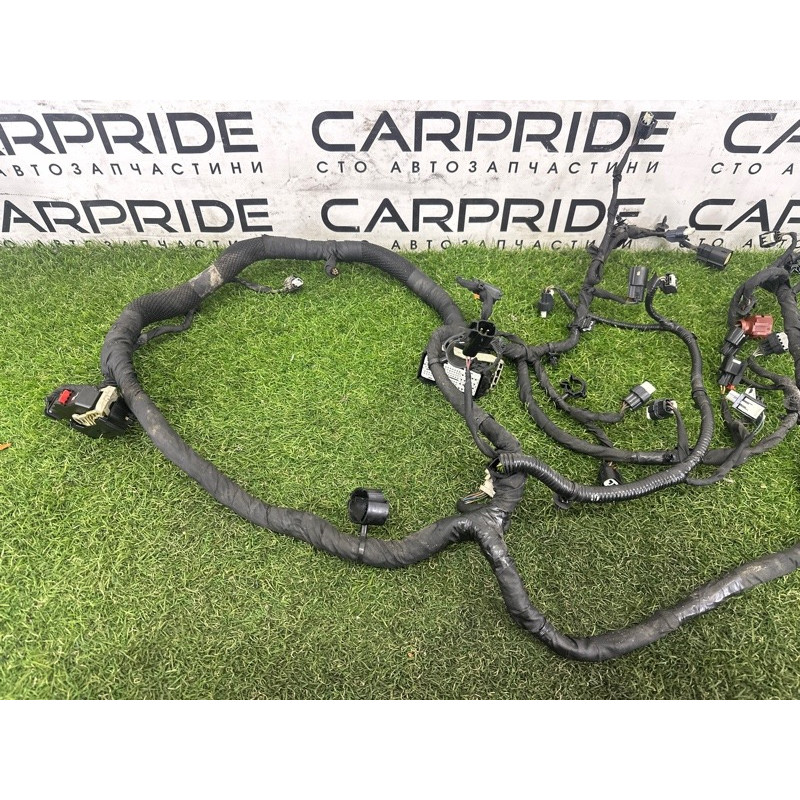 Проводка моторная (электрика двигателя) FORD ESCAPE MK4 2020 1.5 LX6Z14290F