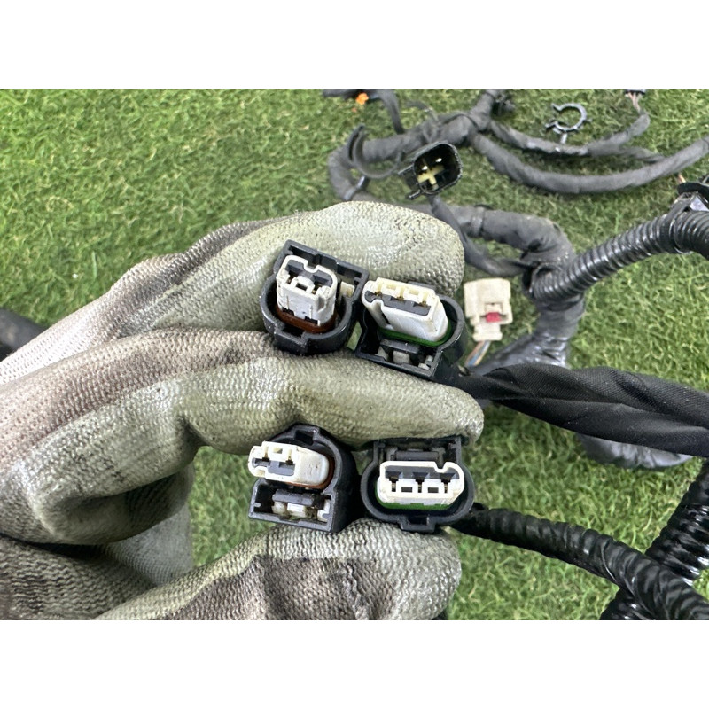 Проводка моторная (электрика двигателя) FORD ESCAPE MK4 2020 1.5 LX6Z14290F