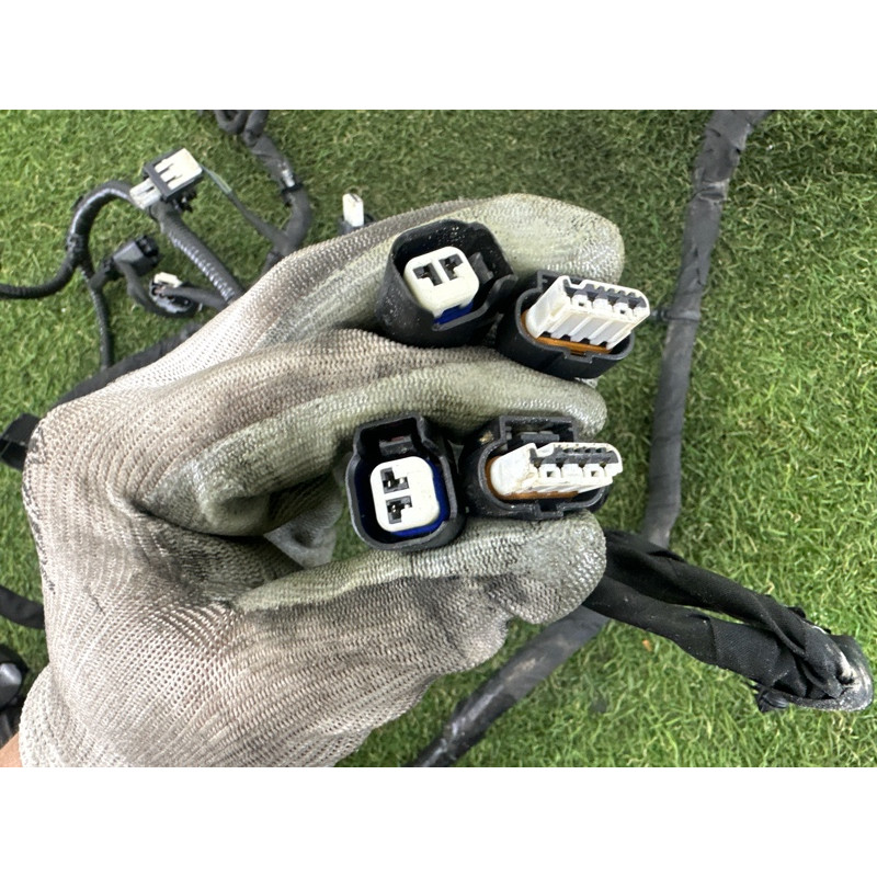 Проводка моторная (электрика двигателя) FORD ESCAPE MK4 2020 1.5 LX6Z14290F