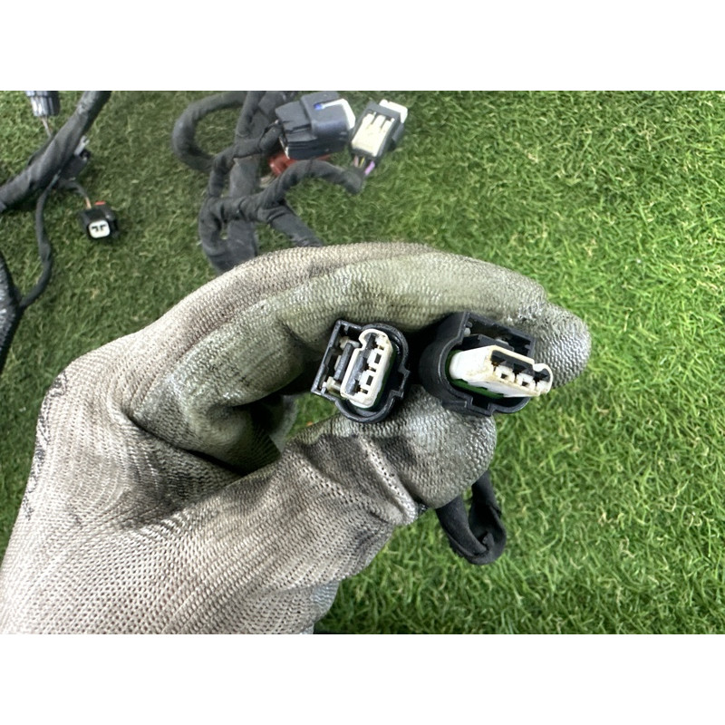 Проводка моторная (электрика двигателя) FORD ESCAPE MK4 2020 1.5 LX6Z14290F