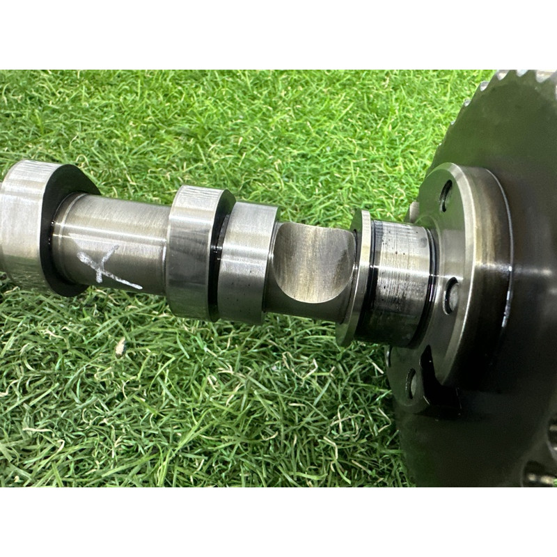 Распредвал впускной (двигатель и элементы) Volkswagen Touareg NF 2011 3.0 TDI 059109021DS