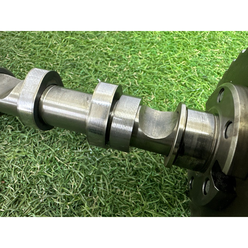 Распредвал впускной (двигатель и элементы) AUDI Q7 4L 2011 3.0 CATA 059109021DS