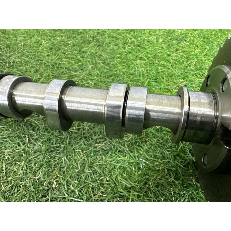 Распредвал впускной (двигатель и элементы) AUDI Q7 4L 2011 3.0 CATA 059109021DS