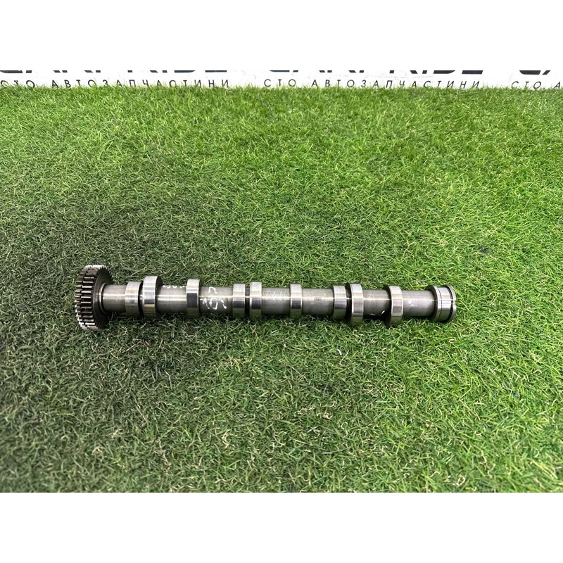 Распредвал выпускной (двигатель и элементы) Volkswagen Touareg NF 2011 3.0 TDI 059109009BL