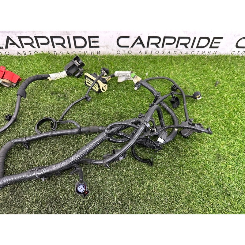 Проводка моторная (электрика двигателя) FORD ESCAPE MK4 2020 1.5 LX6Z14305D