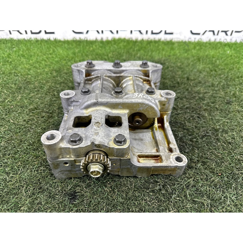 Блок балансирных валов (двигатель и элементы) Nissan Rogue T32 2016 2.5 QR25DE 124103TA0B