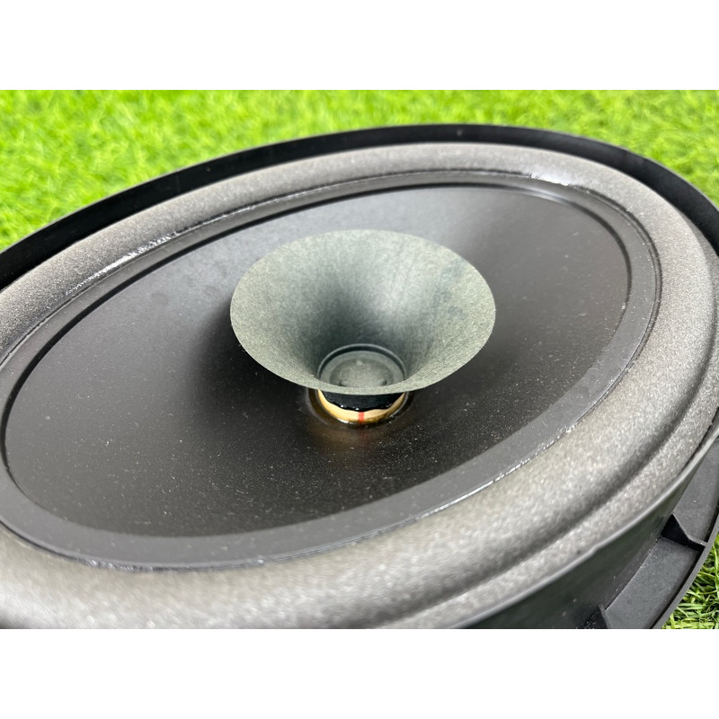 Динамик (электрика) Nissan Rogue T33 2023 1.5 KR15DDT 281576RR0A