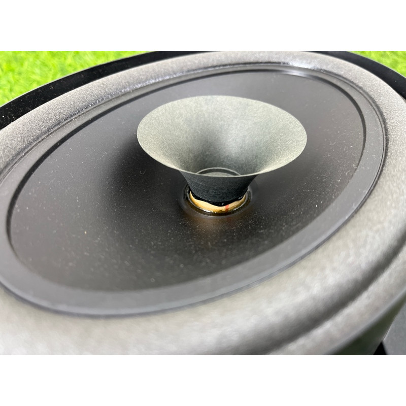 Динамик (электрика) Nissan Rogue T33 2023 1.5 KR15DDT 281576RR0A