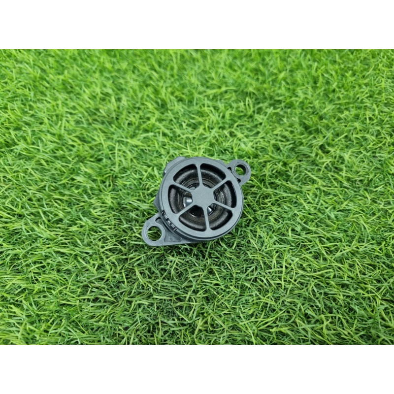 Динамик (электрика) Nissan Rogue T33 2023 1.5 KR15DDT 248326RA0A