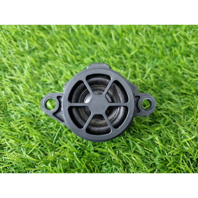 Динамик (электрика) Nissan Rogue T33 2023 1.5 KR15DDT 248326RA0A