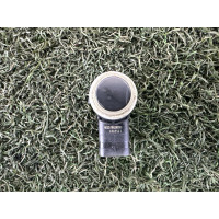 Парктроник