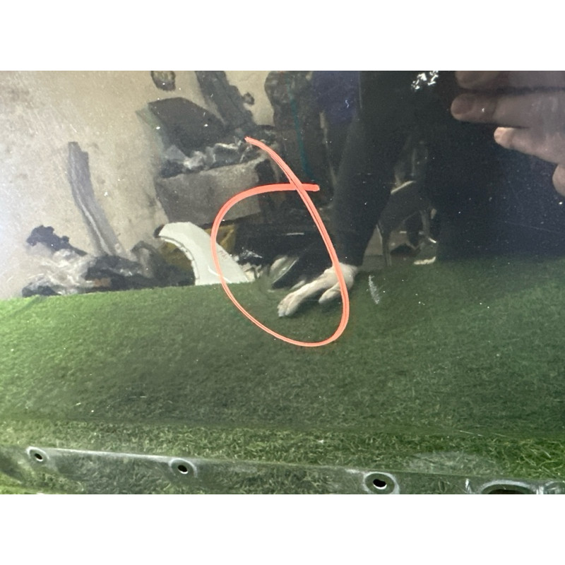 Двері голі (наружные элементы кузова) LAND ROVER Range Rover L405 2016 5.0 LR036400