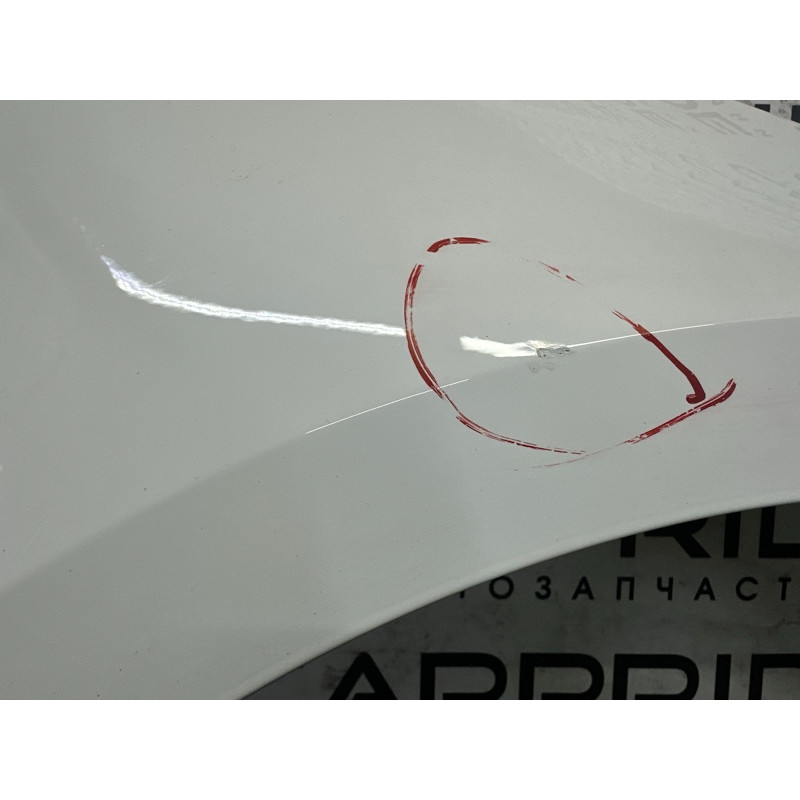 Крыло (наружные элементы кузова) AUDI A4 B9 2017 2.0 TFSI 8W0821106A