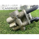 Радіатор АКПП (система охолодження) Volkswagen Touareg NF 2013 3.0 Hybrid 7P0317019