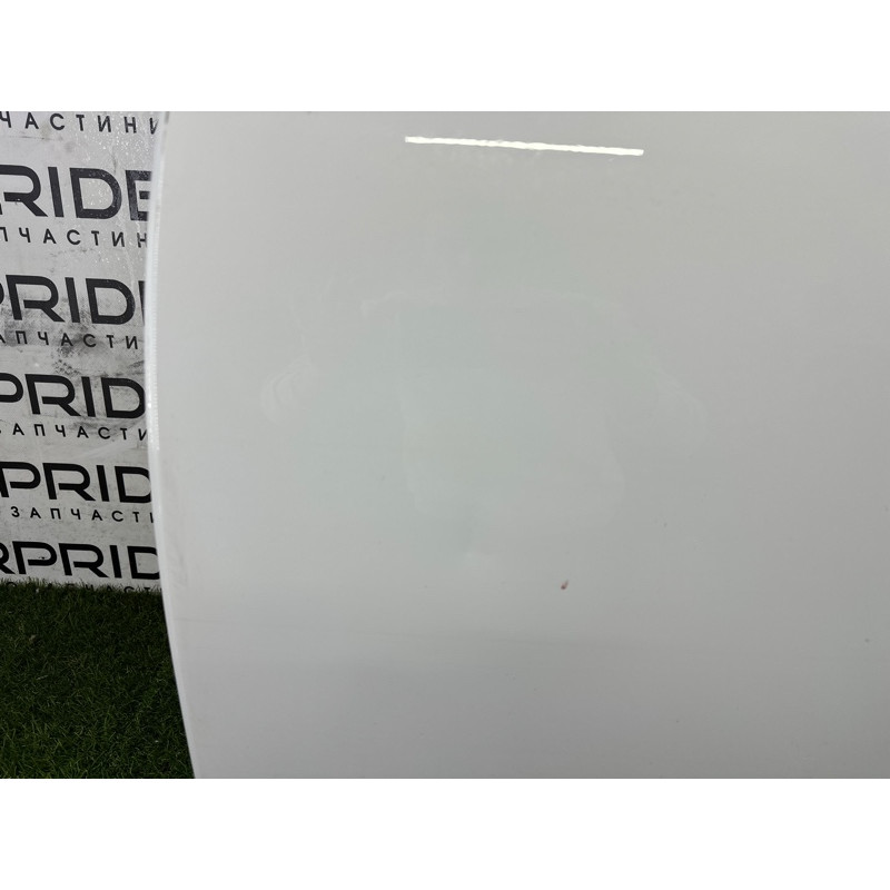 Дверь (наружные элементы кузова) AUDI A4 B9 2017 2.0 TFSI 8W0831051A