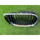 Решітка капота (кузов і елементи) BMW 3-series E46 2001 M54B30
