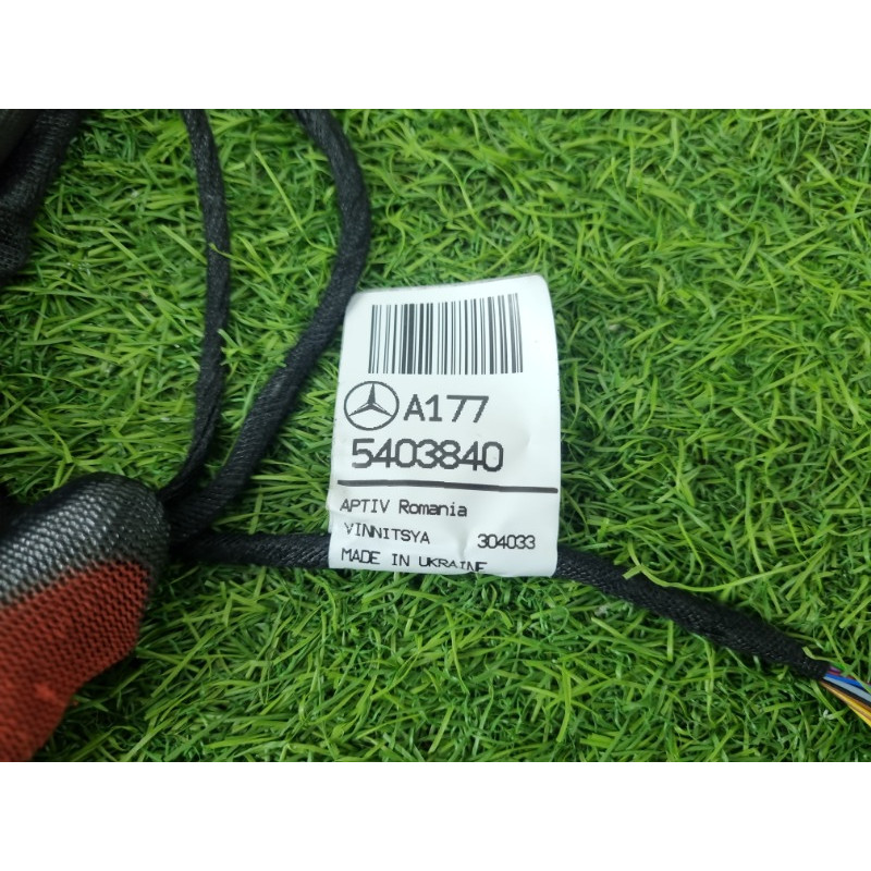 Проводка дверна (электрика) Mercedes-Benz EQB 350 X243 2022 A1775403840