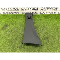 Обшивка центральної стійки