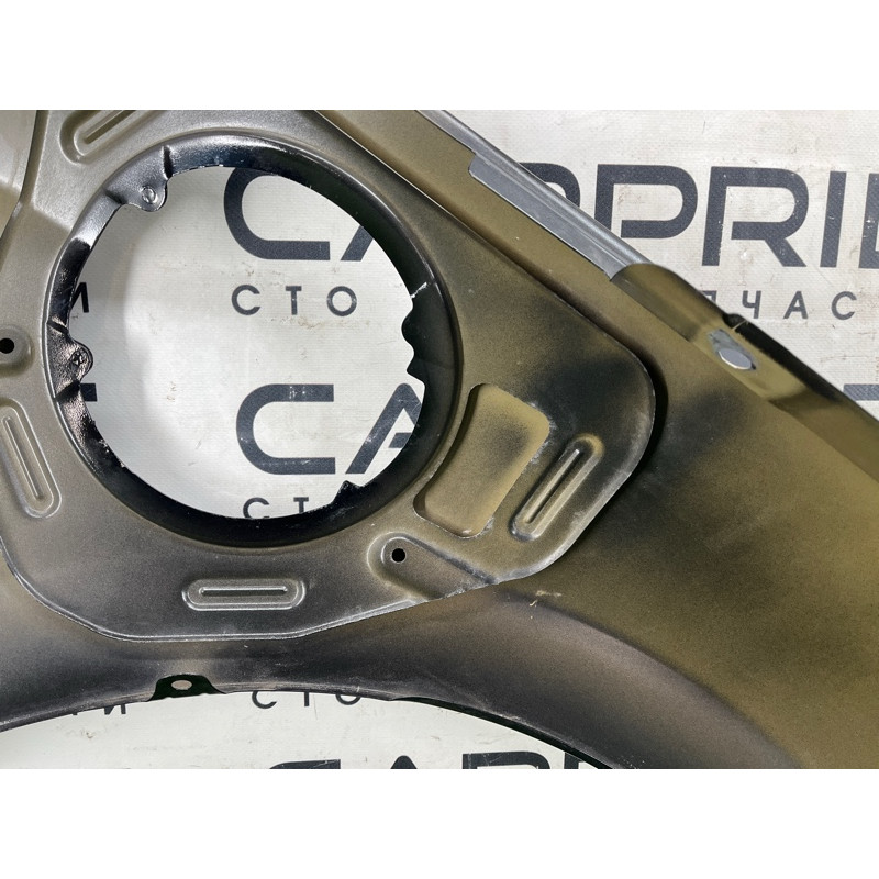 Крило (зовнішні елементи кузова) Hyundai Ioniq AE 2018 1.6 Hybrid 66310G7000