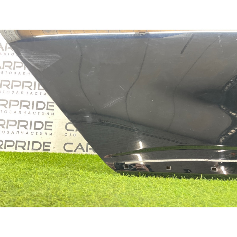 Дверь голая (наружные элементы кузова) Hyundai Ioniq AE 2018 1.6 Hybrid 77004G2010