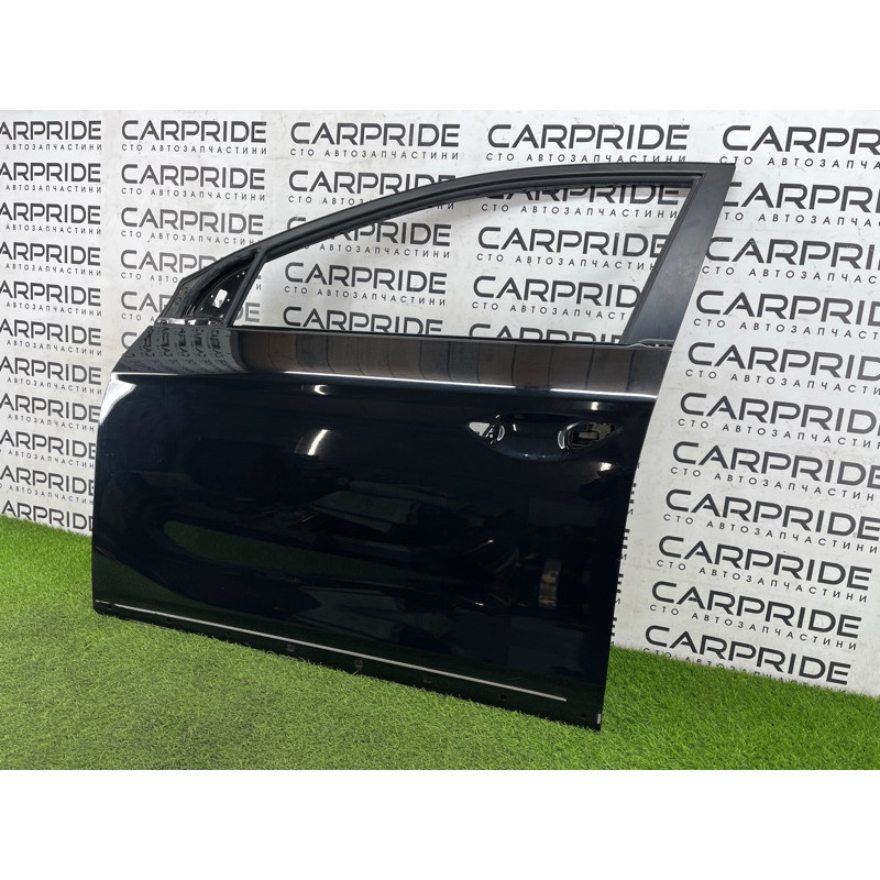 Двері голі (зовнішні елементи кузова) Hyundai Ioniq AE 2018 1.6 Hybrid 76003G2010