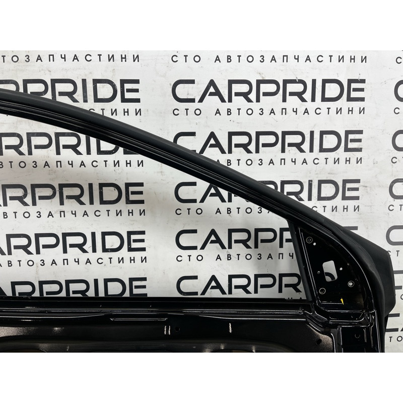 Двері голі (зовнішні елементи кузова) Hyundai Ioniq AE 2018 1.6 Hybrid 76003G2010