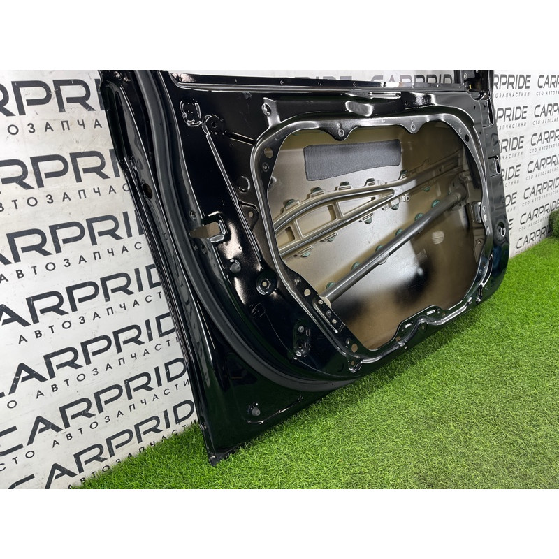 Двері голі (зовнішні елементи кузова) Hyundai Ioniq AE 2018 1.6 Hybrid 76003G2010