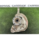 Поворотный кулак (подвеска) Volkswagen Touareg NF 2012 3.0 Hybrid CGFA 7P0407245B