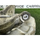 Поворотный кулак (подвеска) Volkswagen Touareg NF 2012 3.0 Hybrid CGFA 7P0407246B